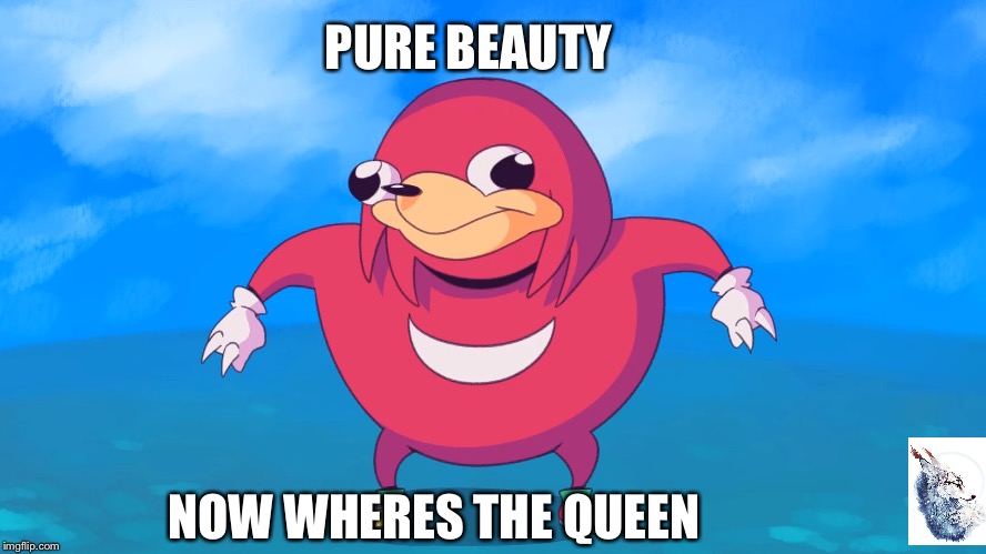 Do you know da wae? | PURE BEAUTY; NOW WHERES THE QUEEN | image tagged in do you know da wae | made w/ Imgflip meme maker