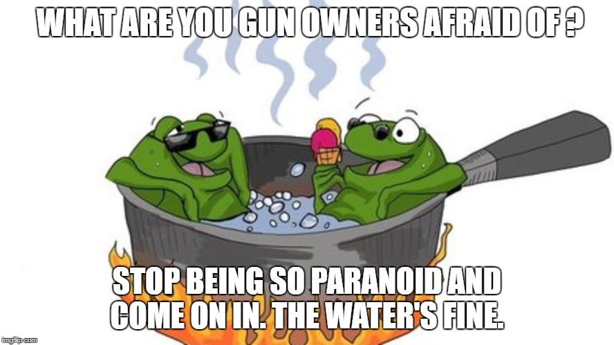 WHAT ARE YOU GUN OWNERS AFRAID OF ? STOP BEING SO PARANOID AND COME ON IN. THE WATER'S FINE. | made w/ Imgflip meme maker