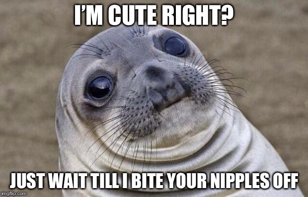 Awkward Moment Sealion Meme | I’M CUTE RIGHT? JUST WAIT TILL I BITE YOUR NIPPLES OFF | image tagged in memes,awkward moment sealion | made w/ Imgflip meme maker