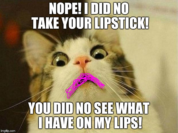 Scared Cat Meme | NOPE! I DID NO TAKE YOUR LIPSTICK! YOU DID NO SEE WHAT I HAVE ON MY LIPS! | image tagged in memes,scared cat | made w/ Imgflip meme maker