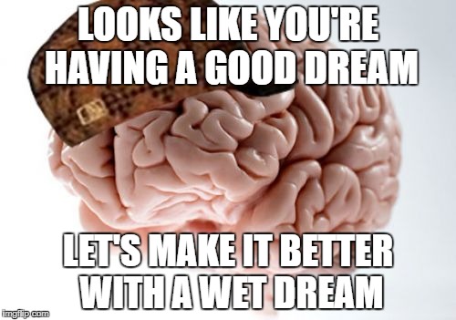 The Struggle of Sleep | LOOKS LIKE YOU'RE HAVING A GOOD DREAM; LET'S MAKE IT BETTER WITH A WET DREAM | image tagged in memes,scumbag brain,wet dream,dream,sleep | made w/ Imgflip meme maker
