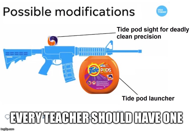 Politics and tide pods | EVERY TEACHER SHOULD HAVE ONE | image tagged in gun control,guns,gun,tide pod challenge,tide pods,tide pod | made w/ Imgflip meme maker