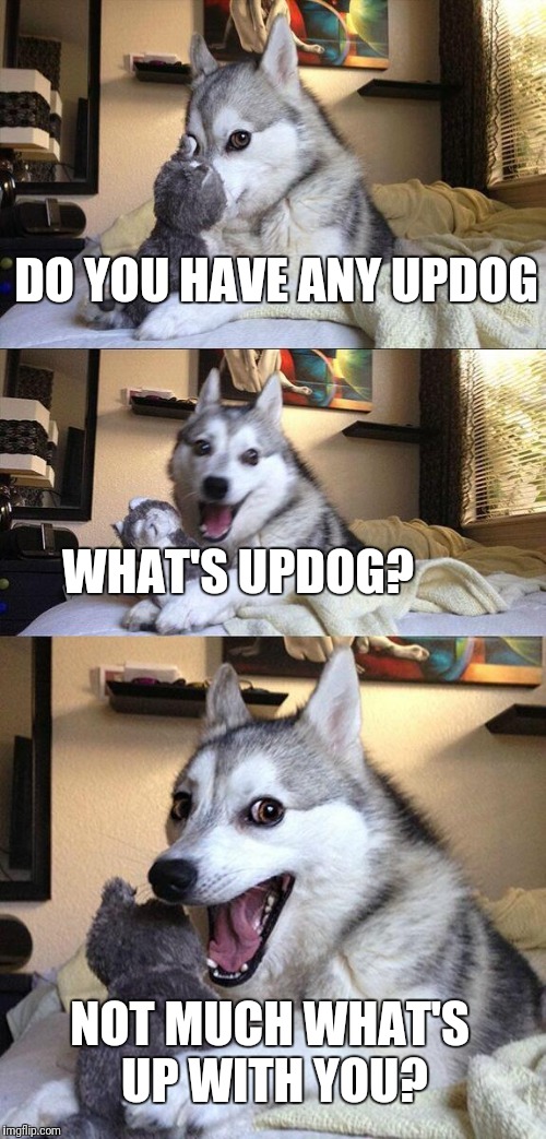 Bad Pun Dog Meme | DO YOU HAVE ANY UPDOG; WHAT'S UPDOG? NOT MUCH WHAT'S UP WITH YOU? | image tagged in memes,bad pun dog | made w/ Imgflip meme maker