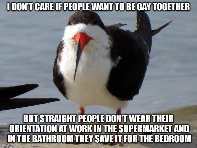 Even Less Popular Opinion Bird | I DON’T CARE IF PEOPLE WANT TO BE GAY TOGETHER BUT STRAIGHT PEOPLE DON’T WEAR THEIR ORIENTATION AT WORK IN THE SUPERMARKET AND IN THE BATHRO | image tagged in even less popular opinion bird | made w/ Imgflip meme maker