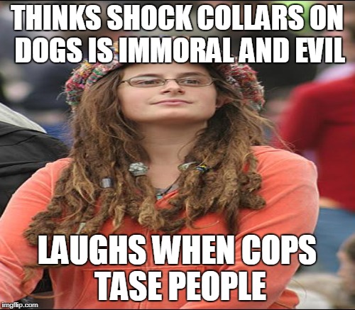 I laugh at both | THINKS SHOCK COLLARS ON DOGS IS IMMORAL AND EVIL; LAUGHS WHEN COPS TASE PEOPLE | image tagged in college liberal,taser,shock collar,dogs,cops,memes | made w/ Imgflip meme maker