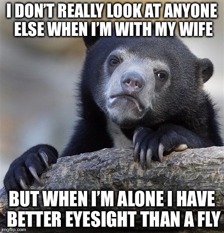 Confession Bear Meme | I DON’T REALLY LOOK AT ANYONE ELSE WHEN I’M WITH MY WIFE BUT WHEN I’M ALONE I HAVE BETTER EYESIGHT THAN A FLY | image tagged in memes,confession bear | made w/ Imgflip meme maker