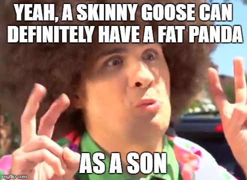 YEAH, A SKINNY GOOSE CAN DEFINITELY HAVE A FAT PANDA AS A SON | made w/ Imgflip meme maker