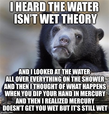 Confession Bear Meme | I HEARD THE WATER ISN’T WET THEORY AND I LOOKED AT THE WATER ALL OVER EVERYTHING ON THE SHOWER AND THEN I THOUGHT OF WHAT HAPPENS WHEN YOU D | image tagged in memes,confession bear | made w/ Imgflip meme maker