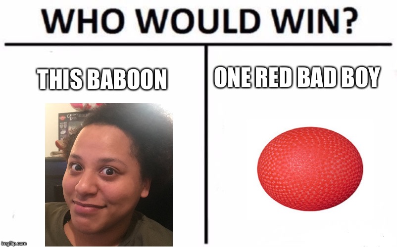 Who Would Win? Meme | ONE RED BAD BOY; THIS BABOON | image tagged in memes,who would win | made w/ Imgflip meme maker