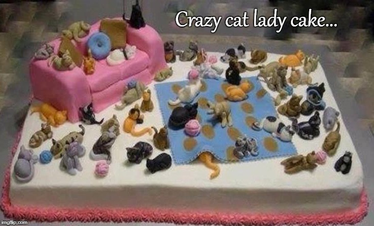 Crazy cat lady cake... | image tagged in crazy,cat,lady | made w/ Imgflip meme maker