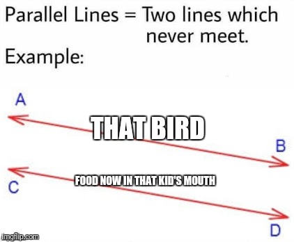 Parellel Lines | THAT BIRD FOOD NOW IN THAT KID'S MOUTH | image tagged in parellel lines | made w/ Imgflip meme maker