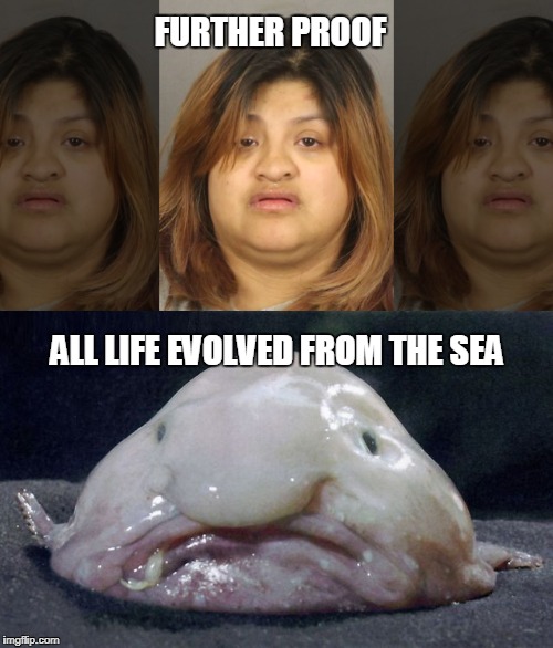 The Debate Is Over! | FURTHER PROOF; ALL LIFE EVOLVED FROM THE SEA | image tagged in funny,blob fish,human,evolution | made w/ Imgflip meme maker