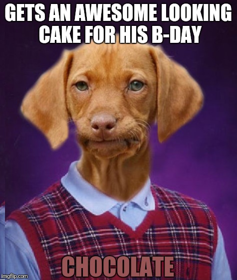 Oh no... | GETS AN AWESOME LOOKING CAKE FOR HIS B-DAY; CHOCOLATE | image tagged in memes,bad luck raydog,cake,birthday,chocolate | made w/ Imgflip meme maker