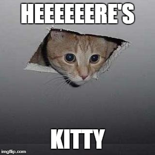 Ceiling Cat | HEEEEEERE'S; KITTY | image tagged in memes,ceiling cat | made w/ Imgflip meme maker