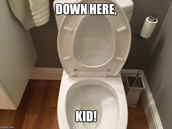 Have a problem? Flush it! | DOWN HERE, KID! | image tagged in have a problem flush it | made w/ Imgflip meme maker