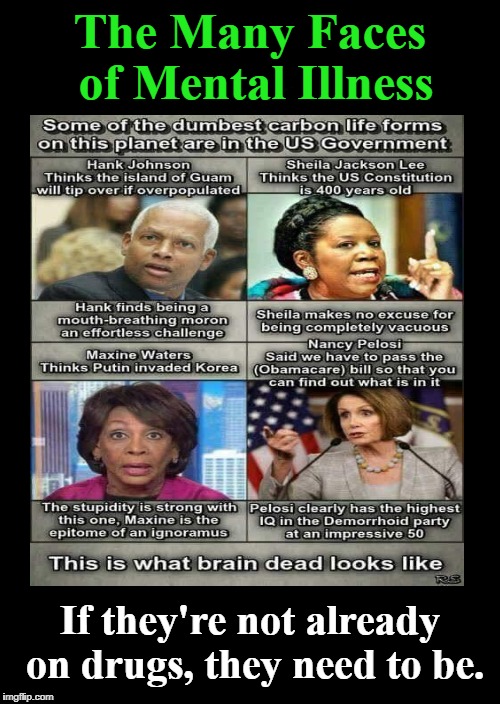 The Many Faces of Mental Illness | The Many Faces of Mental Illness; If they're not already on drugs, they need to be. | image tagged in hank johnson,sheila jackson lee,maxine waters,nancy pelosi,mental illness,mentally ill | made w/ Imgflip meme maker