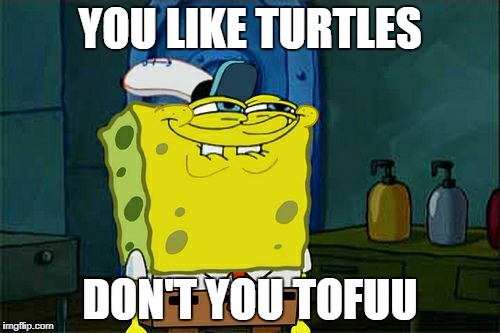 Don't You Squidward | YOU LIKE TURTLES; DON'T YOU TOFUU | image tagged in memes,dont you squidward | made w/ Imgflip meme maker