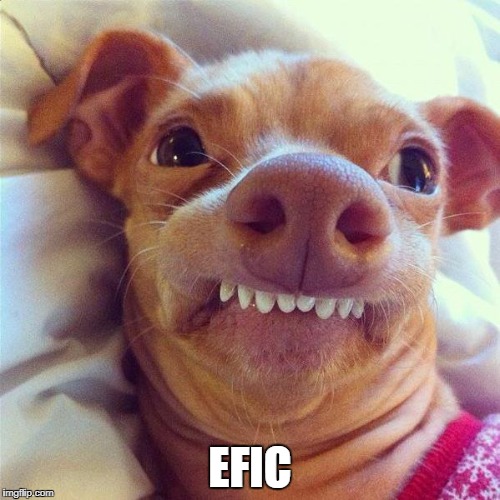 ptheven | EFIC | image tagged in ptheven | made w/ Imgflip meme maker