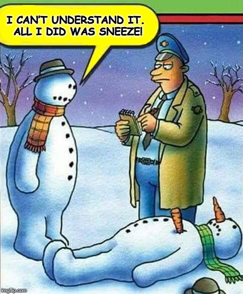 I CAN’T UNDERSTAND IT. ALL I DID WAS SNEEZE! | image tagged in snowman,carrot,murder | made w/ Imgflip meme maker