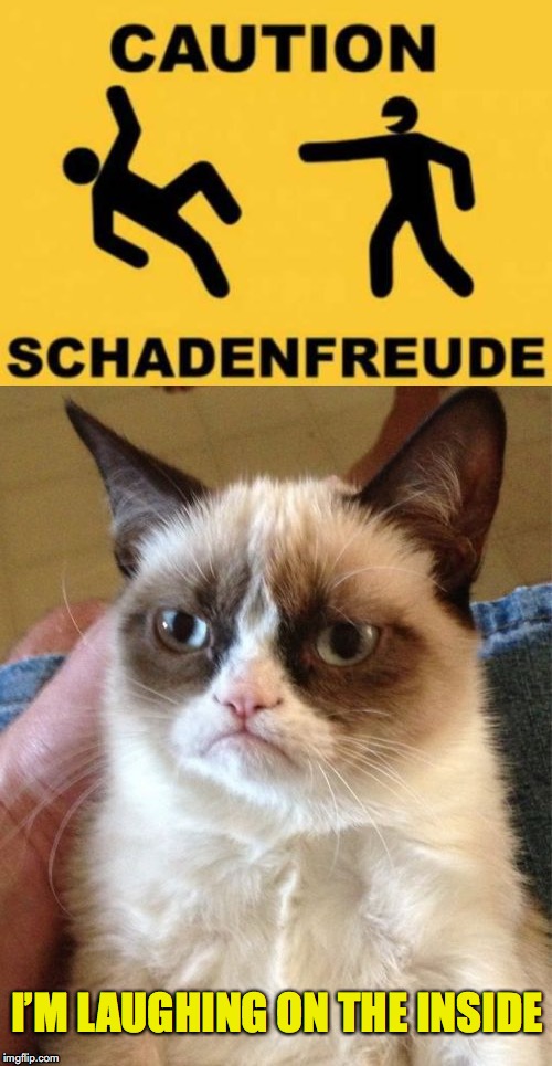 Schadenfreude | I’M LAUGHING ON THE INSIDE | image tagged in grumpy cat,schadenfreude | made w/ Imgflip meme maker