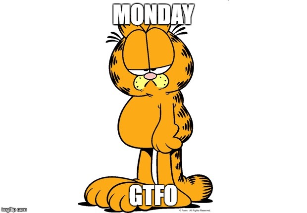 Grumpy Garfield |  MONDAY; GTFO | image tagged in grumpy garfield | made w/ Imgflip meme maker