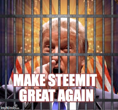 Make America Great Again | MAKE STEEMIT GREAT AGAIN | image tagged in make america great again,scumbag | made w/ Imgflip meme maker