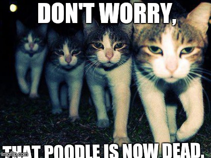 DON'T WORRY, THAT POODLE IS NOW DEAD. | made w/ Imgflip meme maker