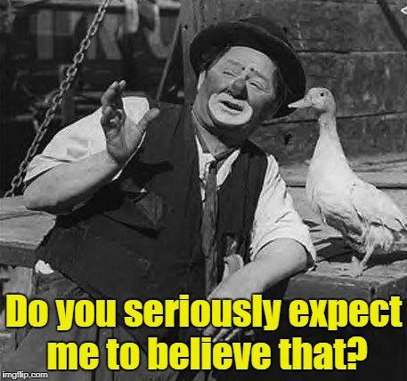 clown with duck | Do you seriously expect me to believe that? | image tagged in clown with duck | made w/ Imgflip meme maker