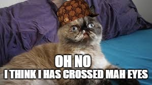 OH NO; I THINK I HAS CROSSED MAH EYES | image tagged in me gusta cat,scumbag | made w/ Imgflip meme maker