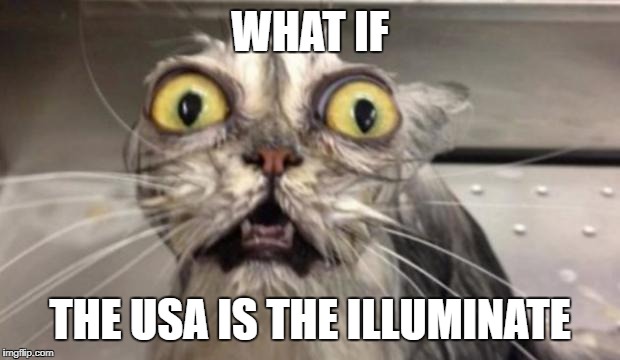 Crazy Cat | WHAT IF; THE USA IS THE ILLUMINATE | image tagged in crazy cat | made w/ Imgflip meme maker