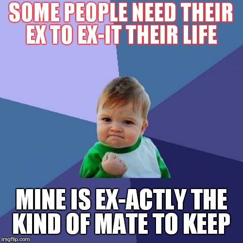 Success Kid | SOME PEOPLE NEED THEIR EX TO EX-IT THEIR LIFE; MINE IS EX-ACTLY THE KIND OF MATE TO KEEP | image tagged in memes,success kid | made w/ Imgflip meme maker