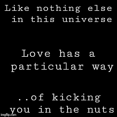 Blank | Like nothing else in this universe; Love has a particular way; ..of kicking you in the nuts | image tagged in blank | made w/ Imgflip meme maker