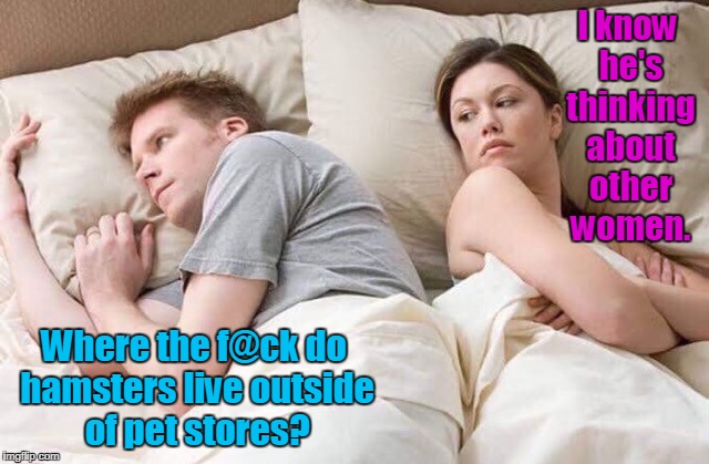 couple thinking bed | I know he's thinking about other women. Where the f@ck do hamsters live outside of pet stores? | image tagged in couple thinking bed | made w/ Imgflip meme maker