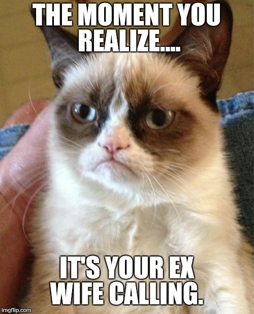 Grumpy Cat | THE MOMENT YOU REALIZE.... IT'S YOUR EX WIFE CALLING. | image tagged in memes,grumpy cat | made w/ Imgflip meme maker