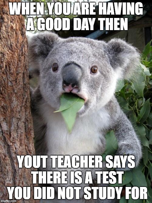 Surprised Koala Meme | WHEN YOU ARE HAVING A GOOD DAY THEN; YOUT TEACHER SAYS THERE IS A TEST YOU DID NOT STUDY FOR | image tagged in memes,surprised koala | made w/ Imgflip meme maker