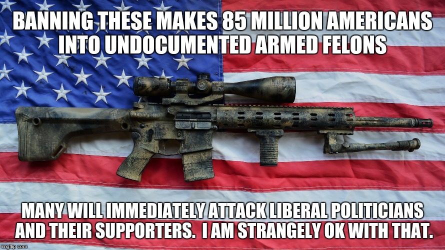 AR-15 | BANNING THESE MAKES 85 MILLION AMERICANS INTO UNDOCUMENTED ARMED FELONS; MANY WILL IMMEDIATELY ATTACK LIBERAL POLITICIANS AND THEIR SUPPORTERS.  I AM STRANGELY OK WITH THAT. | image tagged in ar-15 | made w/ Imgflip meme maker