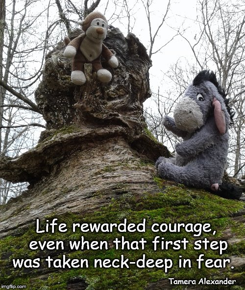 Life Rewards Courage | Life rewarded courage, even when that first step was taken neck-deep in fear. Tamera Alexander | image tagged in life,courage,fear | made w/ Imgflip meme maker