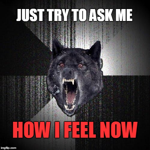 Ask ME | JUST TRY TO ASK ME; HOW I FEEL NOW | image tagged in memes,insanity wolf,how i feel | made w/ Imgflip meme maker