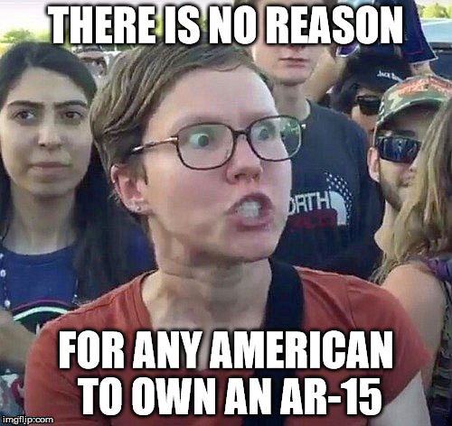 foggy | THERE IS NO REASON; FOR ANY AMERICAN TO OWN AN AR-15 | image tagged in triggered feminist | made w/ Imgflip meme maker
