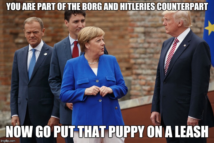 YOU ARE PART OF THE BORG AND HITLERIES COUNTERPART; NOW GO PUT THAT PUPPY ON A LEASH | made w/ Imgflip meme maker