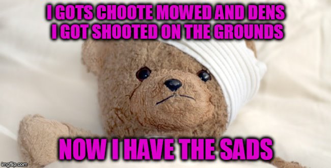 I GOTS CHOOTE MOWED AND DENS I GOT SHOOTED ON THE GROUNDS; NOW I HAVE THE SADS | made w/ Imgflip meme maker