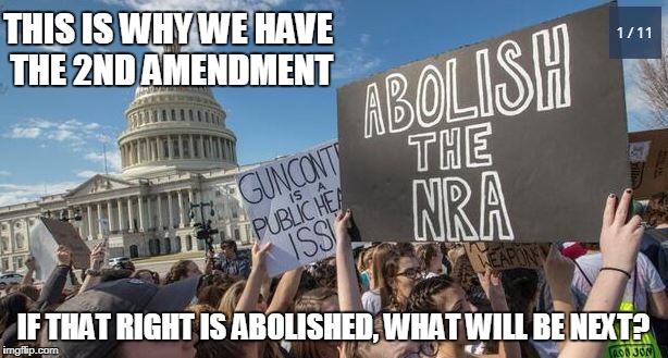 What Rights Go Next? | THIS IS WHY WE HAVE THE 2ND AMENDMENT; IF THAT RIGHT IS ABOLISHED, WHAT WILL BE NEXT? | image tagged in nra,2nd amendment,political,left wing | made w/ Imgflip meme maker