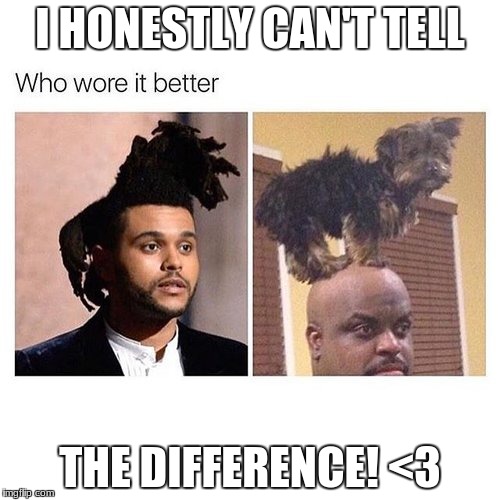 I HONESTLY CAN'T TELL; THE DIFFERENCE! <3 | image tagged in who wore it better,funny | made w/ Imgflip meme maker