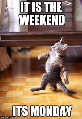 Cool Cat Stroll | IT IS THE WEEKEND; ITS MONDAY | image tagged in memes,cool cat stroll | made w/ Imgflip meme maker