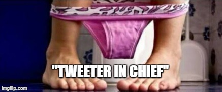 tweeter in chief | "TWEETER IN CHIEF" | image tagged in trump tweet | made w/ Imgflip meme maker