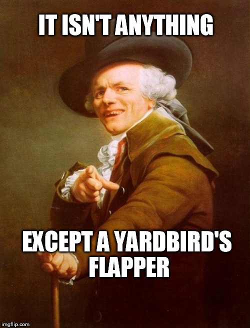 Reduce your temperature, my sibling | IT ISN'T ANYTHING; EXCEPT A YARDBIRD'S FLAPPER | image tagged in memes,joseph ducreux,chill | made w/ Imgflip meme maker