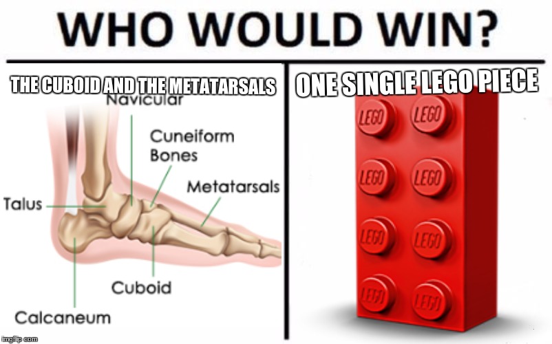 THE CUBOID AND THE METATARSALS; ONE SINGLE LEGO PIECE | image tagged in memes,stepping on a lego | made w/ Imgflip meme maker