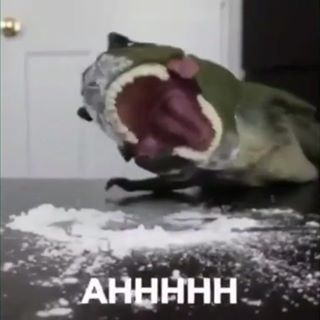 cocaine t-rex Blank Meme Template