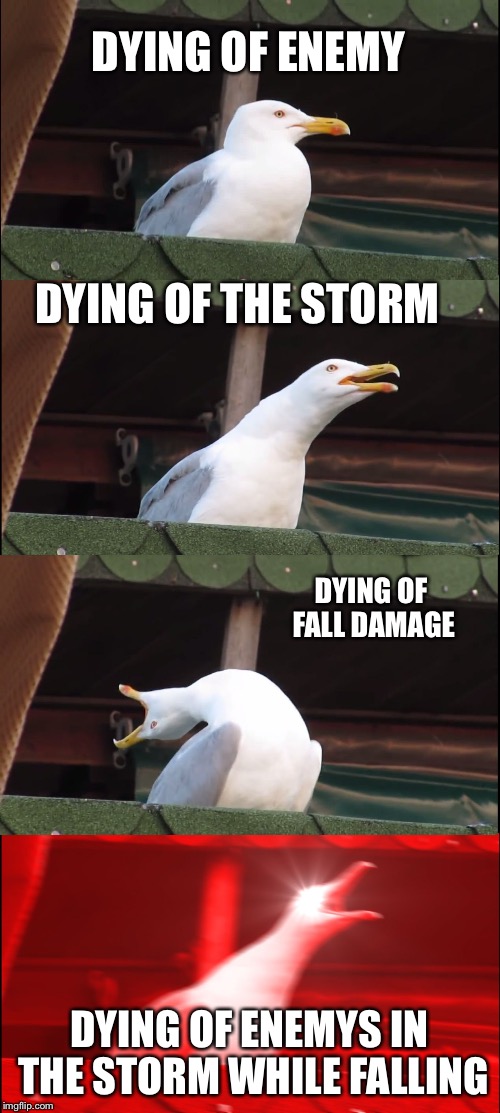 Inhaling Seagull Meme | DYING OF ENEMY; DYING OF THE STORM; DYING OF FALL DAMAGE; DYING OF ENEMYS IN THE STORM WHILE FALLING | image tagged in memes,inhaling seagull | made w/ Imgflip meme maker