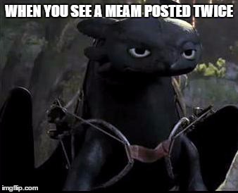 Bored Dragon | WHEN YOU SEE A MEAM POSTED TWICE | image tagged in bored dragon | made w/ Imgflip meme maker